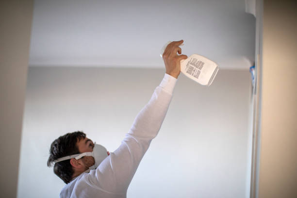 Best Certified Mold Removal  in Midland, NC