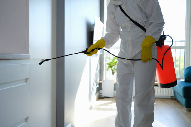 Best Affordable Mold Removal  in Midland, NC