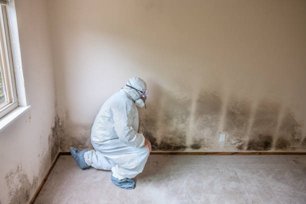 Water Damage Restoration in Midland, NC