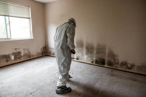 Mold Testing and Removal in Midland, NC